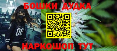 амф Новодвинск