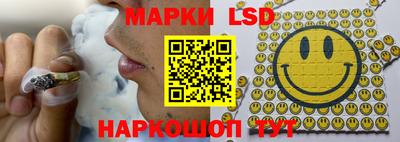 амф Новодвинск