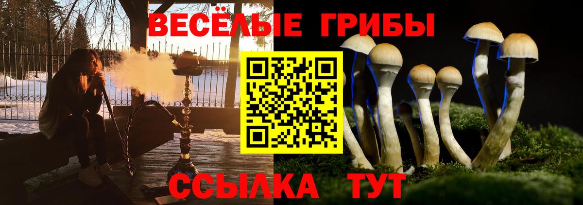 Углич  Галлюциногенные грибы прущие грибы  Вход с VPN 